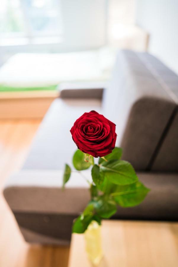 Hostel Pod Roza ซาตอร์ ภายนอก รูปภาพ